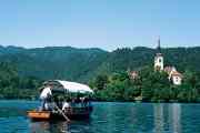 Bled